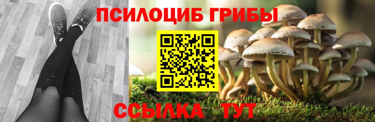 Галлюциногенные грибы мухоморы  Вход с VPN  Галлюциногенные грибы Cubensis  Севастополь 